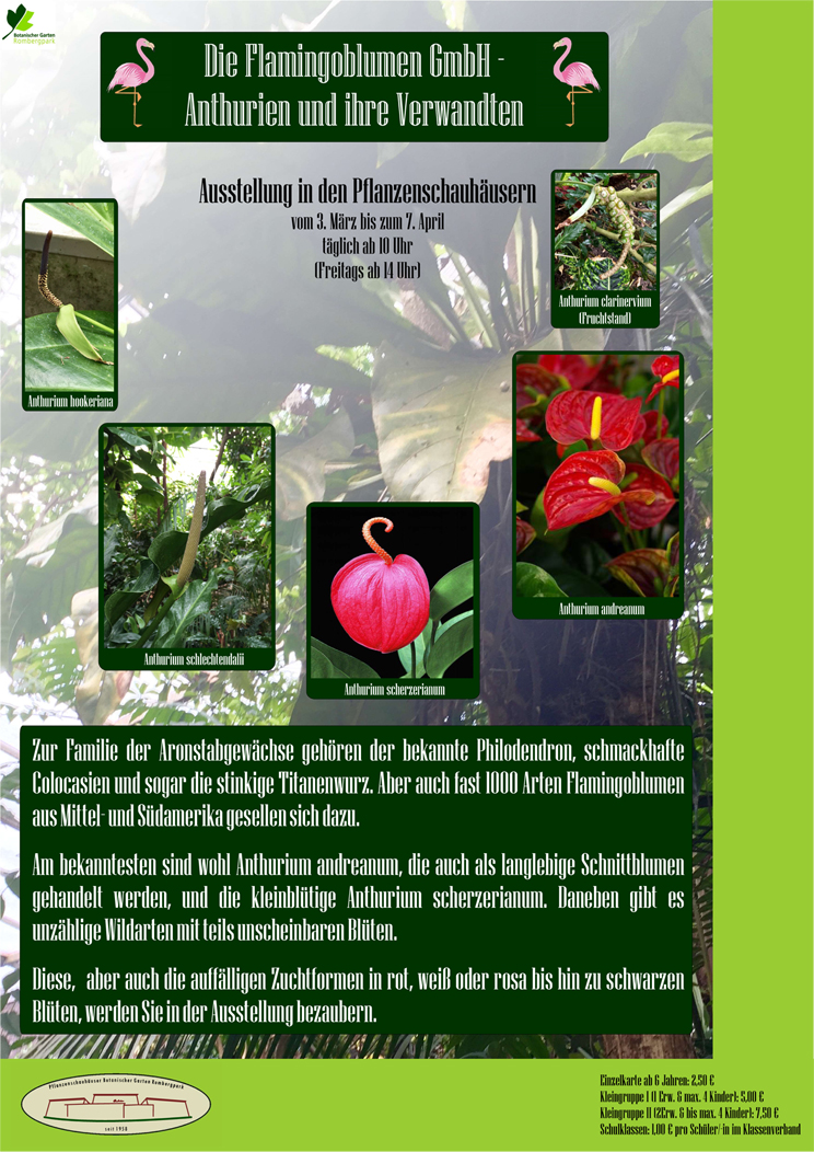 Anthurienausstellung_Poster_BGR